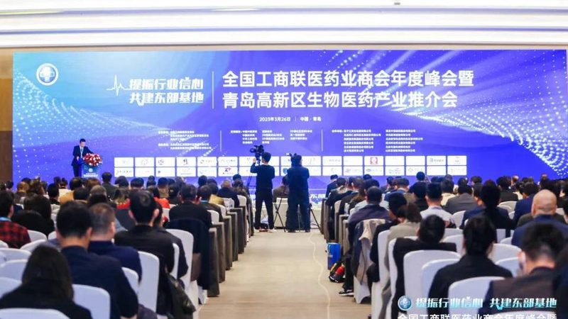 微晶纤维素：制药行业不可或缺的辅料**