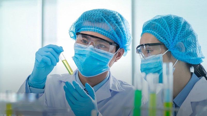 药用辅料供应商排名背后的行业逻辑