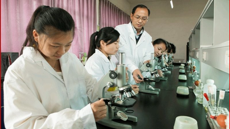 医药中间体与原料药：本质区别与价格对比解析**