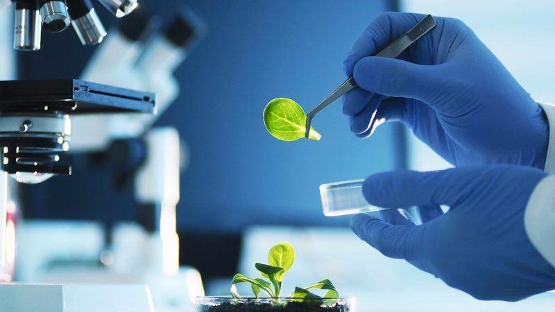 药用级羟丙甲纤维素：揭秘其规格型号与关键特性**