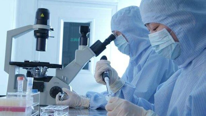 药品生产GMP证书：有效期揭秘与合规要点