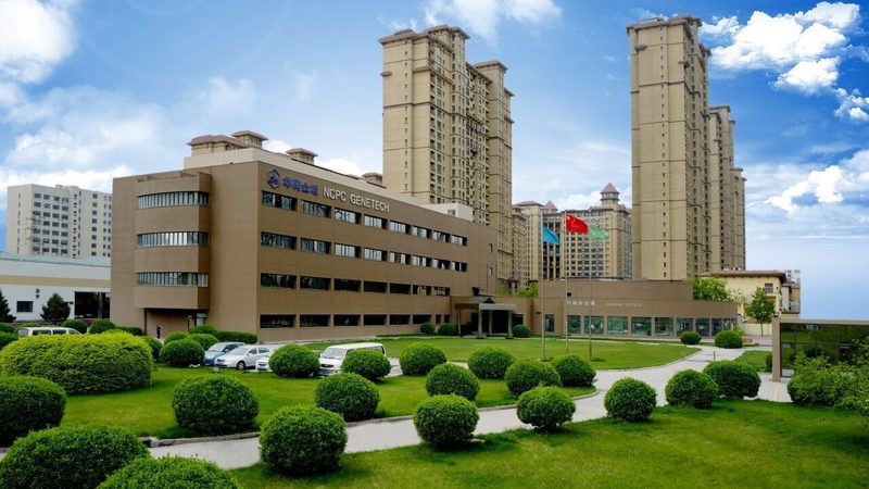 医药公司自营模式与代理模式：差异解析与选择策略